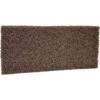 Coarse Scrub Pad, 10" L x 4-1/2" W Distribution Élite MP