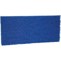 Medium Scrub Pad, 10" L x 4-1/2" W Distribution Élite MP