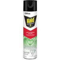 Raid&reg; Essentials Ant & Spider Killer, 350 g, Aerosol Can Distribution Élite MP