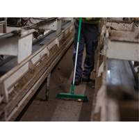 Push Broom Head, Fine/Stiff Bristles, 16-1/2", Polyester/Polypropylene, Green Distribution Élite MP