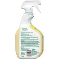 Nettoyant tout usage CloroxPro Clorox EcoClean, 946 ml, Bouteille &agrave; g&acirc;chette Distribution Élite MP