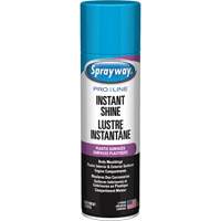 Brillant instantan&eacute; Pro Line pour surfaces en plastique, 11 oz, Canette a&eacute;rosol Distribution Élite MP