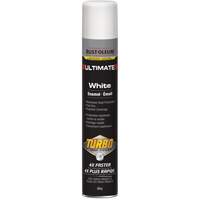 Solvent-Based Paints & Coatings