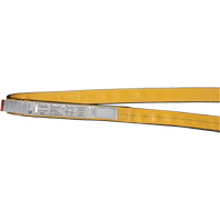 &eacute;lingues de levage en nylon, Pli Simple, Sans fin, Type 5, 1" la x 3' lo, Limite de charge verticale 3200 lb Distribution Élite MP