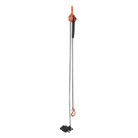 Mini palan &agrave; levier, Lev&eacute;e 15', Cabacit&eacute; 1000 lb (0,5 tonne), Chaîne en Acier Distribution Élite MP