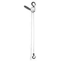 Mini Lever Hoist, 10' Lift, 550 lbs. (0.275 tons) Capacity, Zinc Plated Chain Distribution Élite MP