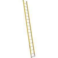 Single Section Straight Ladder - 6100 Series, 16', Fibreglass, 375 lbs., CSA Grade 1AA Distribution Élite MP