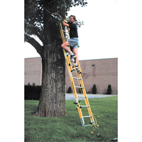 Industrial Heavy-Duty Extension Ladders (6200 Series), 375 lbs. Cap., 13' H, Grade 1AA Distribution Élite MP