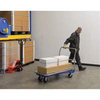 Platform Cart, 48" L x 24" W, 1500 lbs. Capacity, Mold-on Rubber Casters Distribution Élite MP