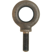 Boulon &agrave; œil SAE, 1-1/4" dia, 1-5/8" lo, 3200 lb (1,6 tonne) capacit&eacute; Distribution Élite MP