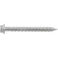 Vis de scellement Aggre-Gator, 1/4" x 1-1/4" lo, Acier inoxydable Distribution Élite MP