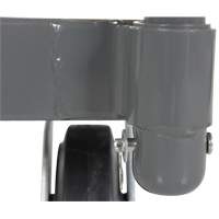 Platform Truck, 48" L x 24" W, 2000 lbs. Capacity, Rubber Casters Distribution Élite MP