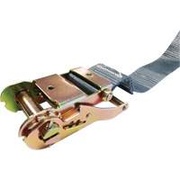 Tendeur d'arrimage &agrave; cliquet, Syst&egrave;me E-Track, 2" , 16' , Charge d'utilisation max. 1333 lb (605 kg) Distribution Élite MP