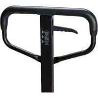 Transpalette &agrave; roues en acier, Acier, 48" lo x 27" la, Capacit&eacute; 5500 lb Distribution Élite MP