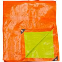 B&acirc;che tiss&eacute;e robuste haute visibilit&eacute;, Poly&eacute;thyl&egrave;ne, Vert/Orange, 16' x 20' x 12 mils Distribution Élite MP
