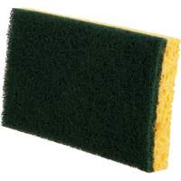 Utility Sponges, Cellulose, 6" W x 3-1/2" L Distribution Élite MP
