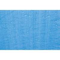 B&acirc;che, Standard, Bleu, 7' x 5' x 4 mils Distribution Élite MP