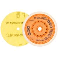 Quick-Step Instant Polish Discs, 5" Dia. Distribution Élite MP