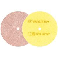 Quick-Step Instant Polish Discs, 5" Dia. Distribution Élite MP