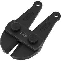 Bolt Cutters