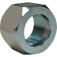 Dixon&reg; Mining Hex Nut, 1", Zinc Plated, NPT Thread Distribution Élite MP