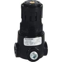 Wilkerson Miniature Regulator R03, 1/8" NPT, 300 psi Max. PSI, Standard Distribution Élite MP