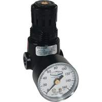 Wilkerson Miniature Regulator R04, 1/4" NPT, 300 psi Max. PSI, Standard Distribution Élite MP