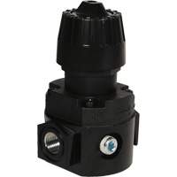 Wilkerson Compact Regulator R16, 1/4" NPT, 300 psi Max. PSI, Standard Distribution Élite MP