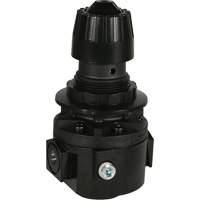 Wilkerson Regulator R26, 3/8" NPT, 300 psi Max. PSI, Standard Distribution Élite MP