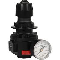 Wilkerson Regulator R26, 1/2" NPT, 300 psi Max. PSI, Standard Distribution Élite MP