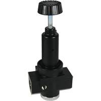 Wilkerson High Flow Regulator R30, 3/4" NPT, 300 psi Max. PSI, Standard Distribution Élite MP