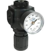 Series 1 Compact Regulator, 1/2" NPT, 150 PSI Max. PSI, Standard Distribution Élite MP