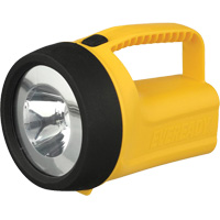 Lanterne flottante Readyflex de EverReady, DEL, 80 Lumens, Piles D Distribution Élite MP