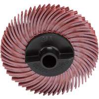 Disque &agrave; soies radiales, RB- ZB Scotch-Brite, C&eacute;ramique, Grain 220, 2" dia. Distribution Élite MP