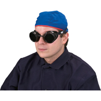 Cup Goggles, 5.0 Lens, Anti-Scratch, Closed Vent Distribution Élite MP