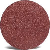 Disque abrasif Roloc 782C 3M, 2" dia., Grain 36+, C&eacute;ramique Distribution Élite MP