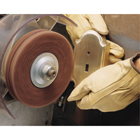 Disques robustes Scotch-Brite (oxyde d'aluminium), 6" dia., Grain Tr&egrave;s fin, Oxyde d'aluminium Distribution Élite MP