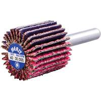 Mini-meule &agrave; lamelles mont&eacute;e sur tige, C&eacute;ramique d'alumine, Grain 40, 1" x 1" x 1/4" Distribution Élite MP