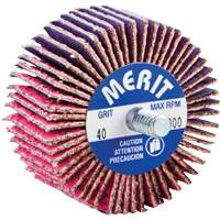 Mini-meule &agrave; lamelles filet&eacute;es, C&eacute;ramique d'alumine, Grain 40, 2" x 1" x 1/4"-20 Distribution Élite MP