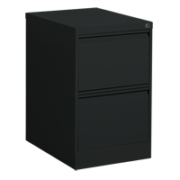 Classeur vertical, Acier, 2 tiroirs, 18-1/7" la x 25" p x 29" h, Noir Distribution Élite MP