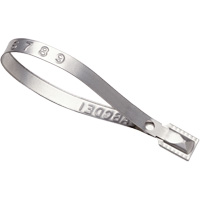 Scell&eacute;s Guard Lock, 8-3/8", M&eacute;tal, Scell&eacute; pour camion Distribution Élite MP