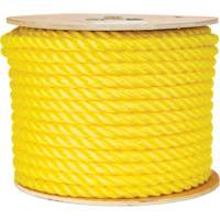 Corde jaune tress&eacute;e 5/8", Polypropyl&egrave;ne, 200' Distribution Élite MP