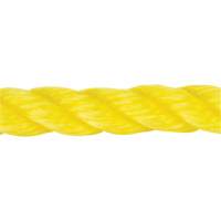 Corde jaune tress&eacute;e, Polypropyl&egrave;ne, 144' Distribution Élite MP