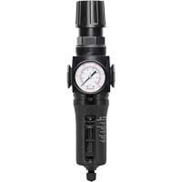 Filtre/r&eacute;gulateur drain manuel avec bol en m&eacute;tal Modulair 300, 1/4" NPT, 250 PSI, Capacit&eacute; de 5,1 oz liq. Distribution Élite MP