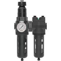 Filtre/d&eacute;tendeur & filtre coalescent Modulair 400 avec bol standard & drain manuel, 3/4" NPTF, 150 psi, Capacit&eacute; de 9,13 oz liq. Distribution Élite MP