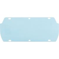 Facetec Polycarbonate Visor, Polycarbonate, Clear Tint Distribution Élite MP