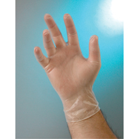 Examination Grade Gloves, Small, Vinyl, 4-mil, Powder-Free, Clear, Class 2 Distribution Élite MP