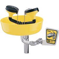 Poste de douche oculaire, Installation Support pour tuyau d'approvisionnement, Bol Plastique Distribution Élite MP