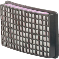 Speedglas Respiratory Protection-replacement Filters & Cartridges, P100 Filter, Pack of 2 Distribution Élite MP