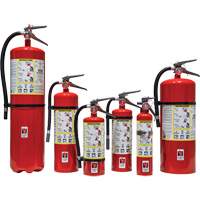 Extincteur d'incendie, ABC, Capacit&eacute; 30 lb Distribution Élite MP